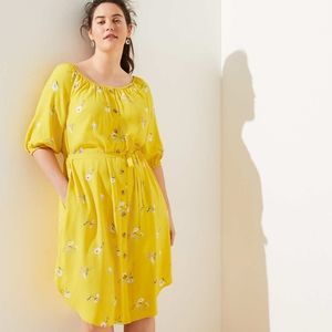 Loft Floral Button Down Dress